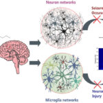 acdc-the-epilepsy-strain-high-cbd-medical-benchmark