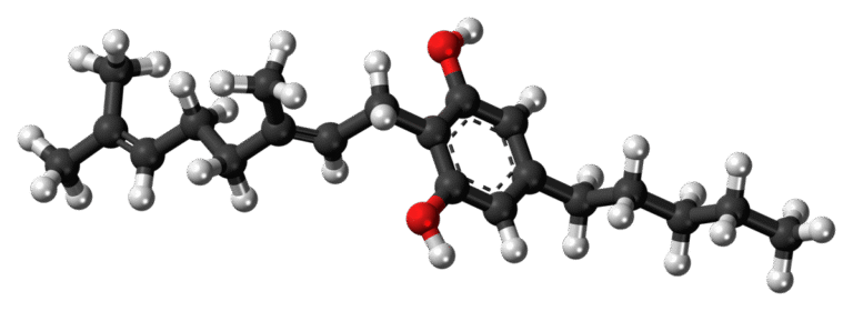 cannabigerol-precursor-cannabinoid
