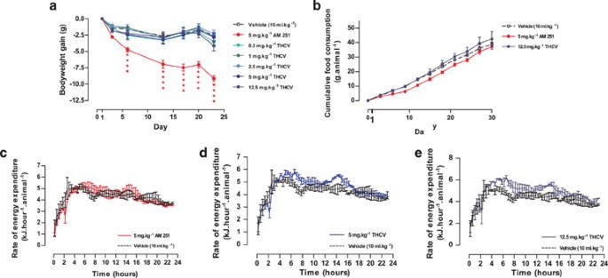 dougs-varin-the-11-thcv-solution-for-weight-management