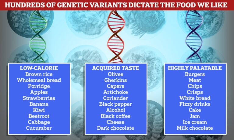 genetics-contributing-dessert