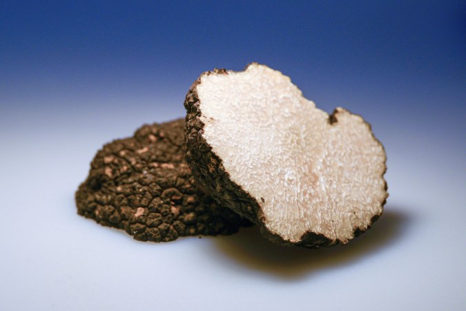 genetics-proprietary-truffle