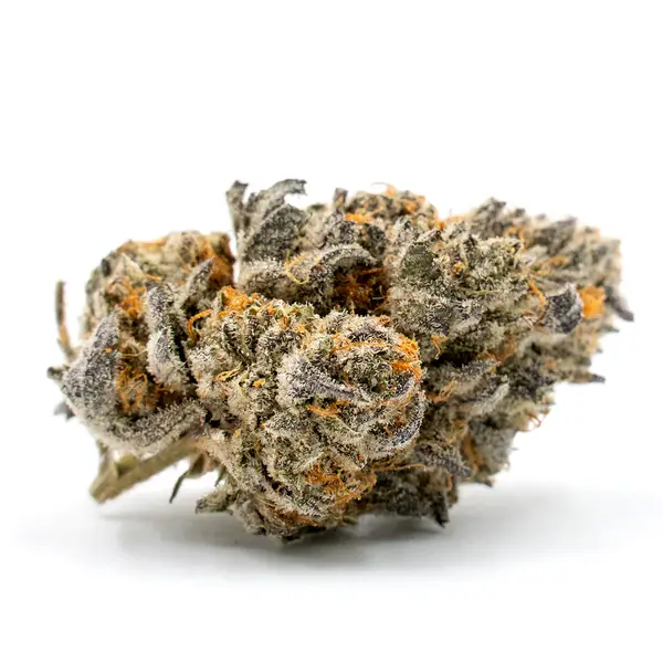 jealousy-pies-potency-profile-high-thc-and-caryophyllene-dominance