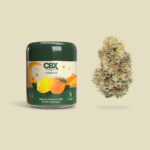 lorange-a-burst-of-sativa-energy-and-citrus-focus