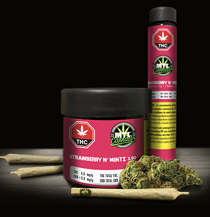 strawberry-mentz-the-berry-mint-revolution-in-cannabis