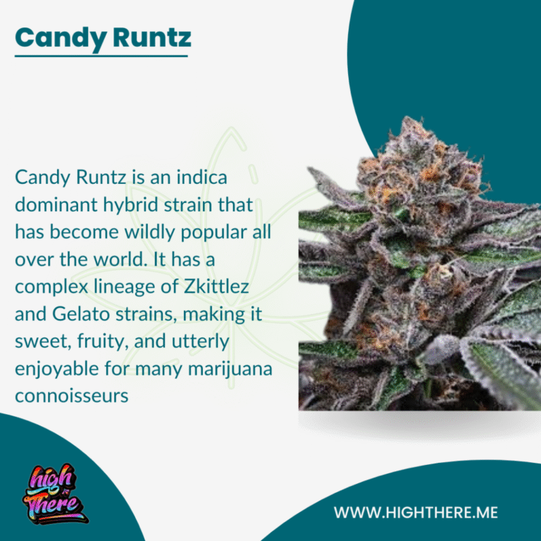 the-enduring-popularity-of-runtz-sugary-candy-terpene-profile
