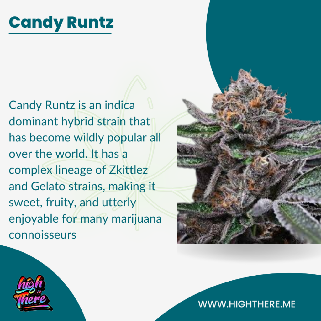 the-enduring-popularity-of-runtz-sugary-candy-terpene-profile
