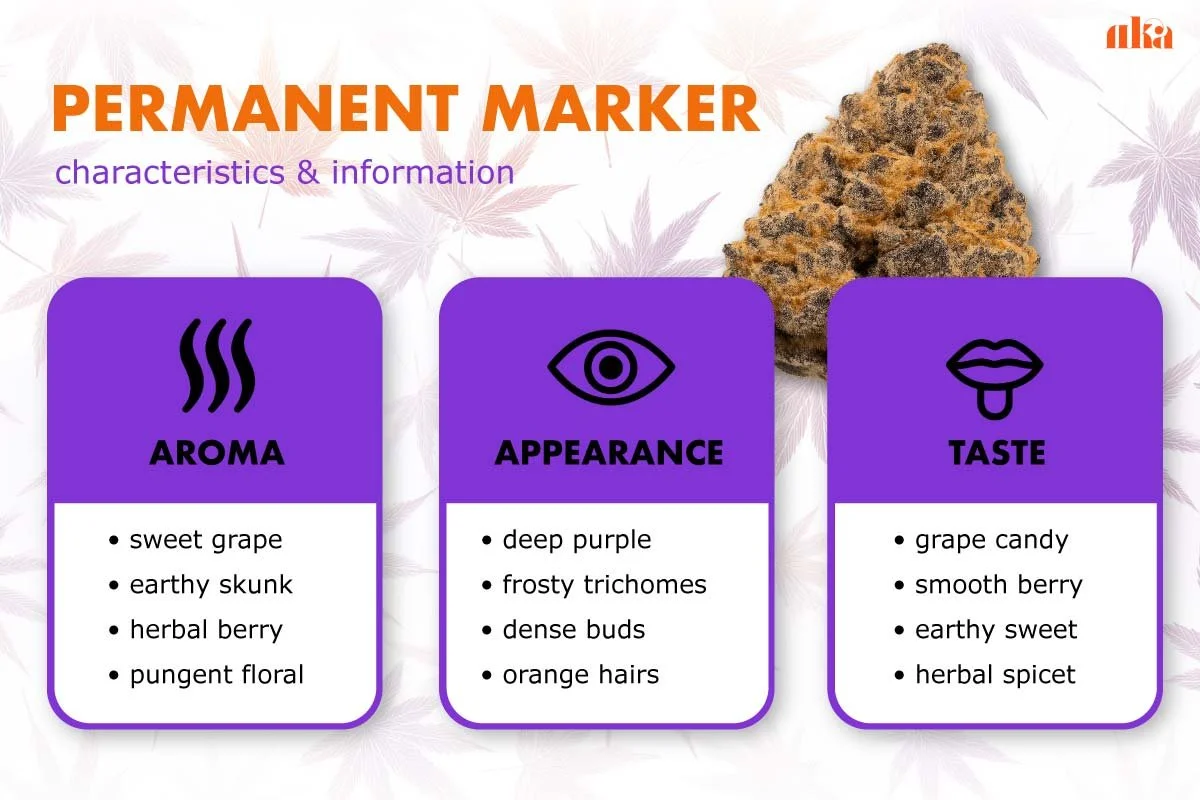 the-permanent-marker-phenomenon-soapy-skunky-fuel-terpene-profile