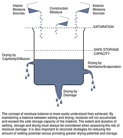 favorable-conditions-moisture