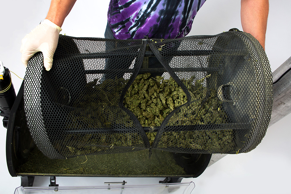 how-to-store-cannabis-trim