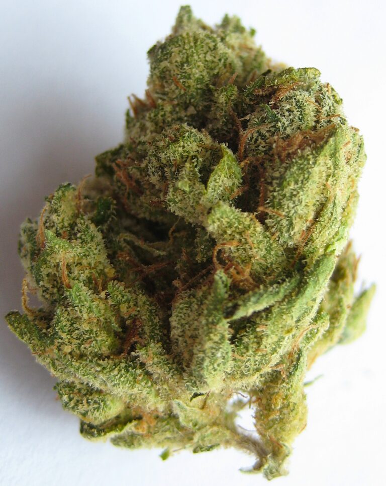 what strain of cannabis is most like a good buzz