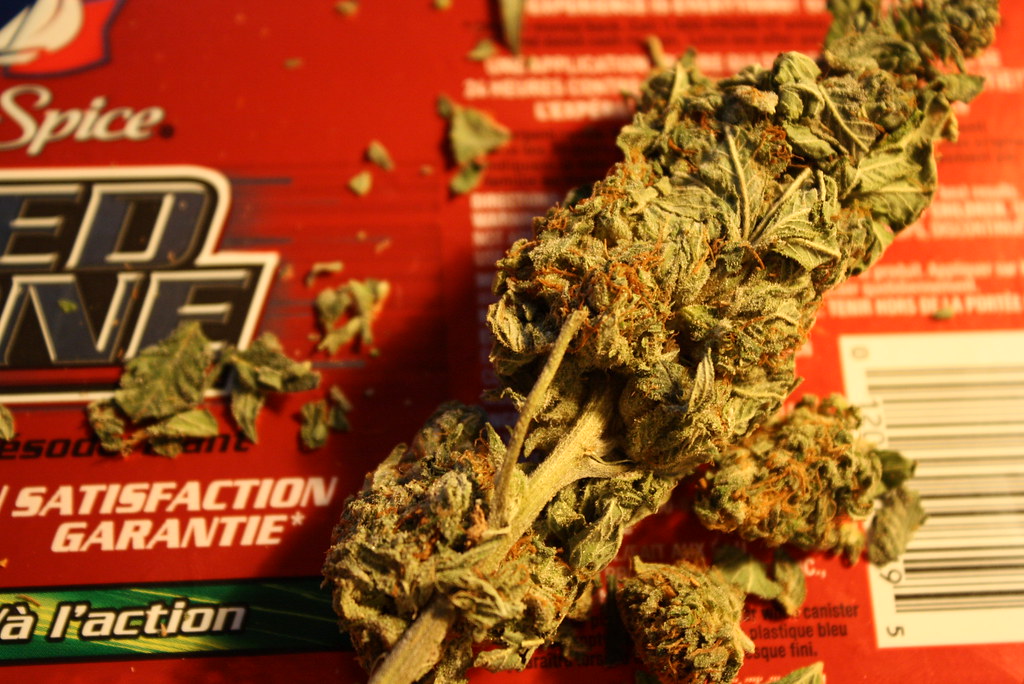 What To Do With Cannabis Leaves