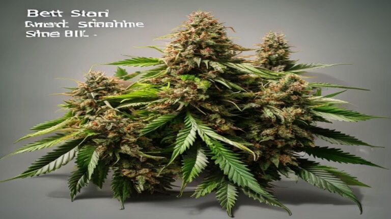 best weed strains in schedule 1