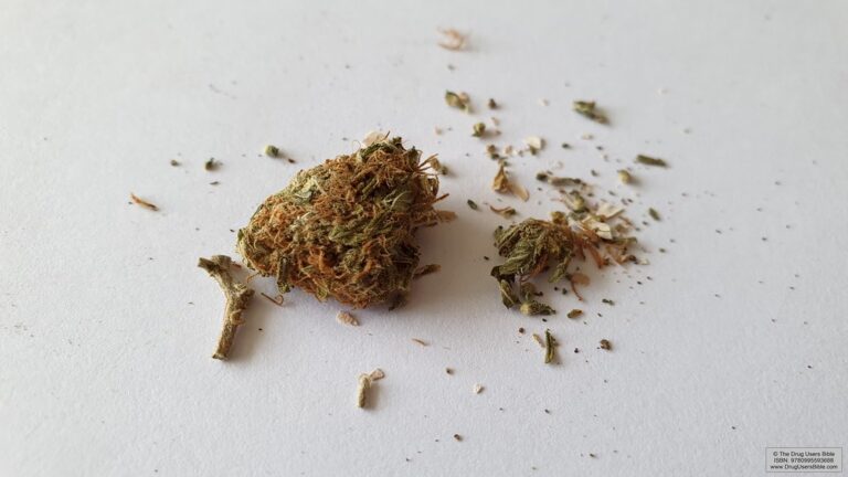 hybrid weed strains