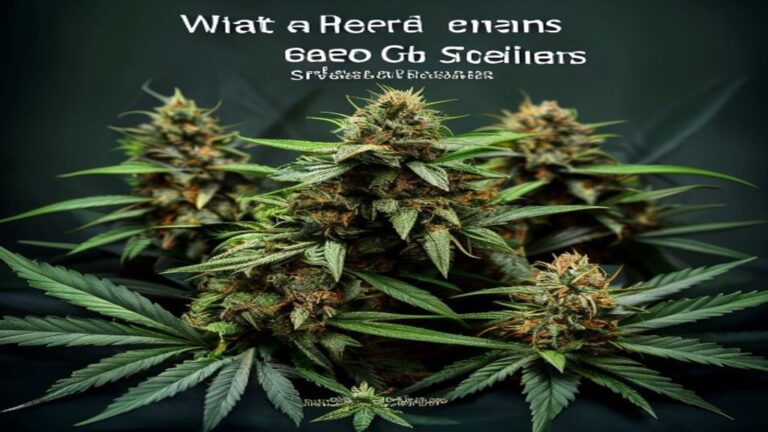 what are og weed strains