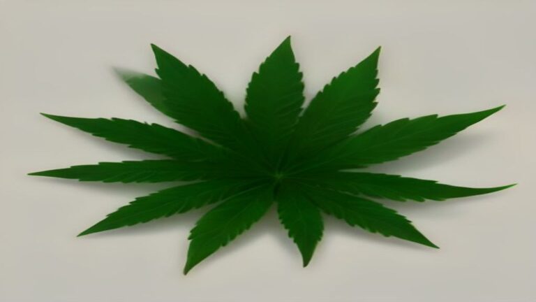 how many leaves on a cannabis plant