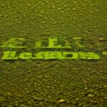 are cannabis seeds legal in australia