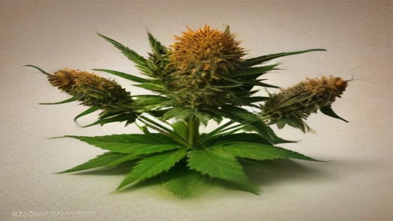 can bees pollinate cannabis