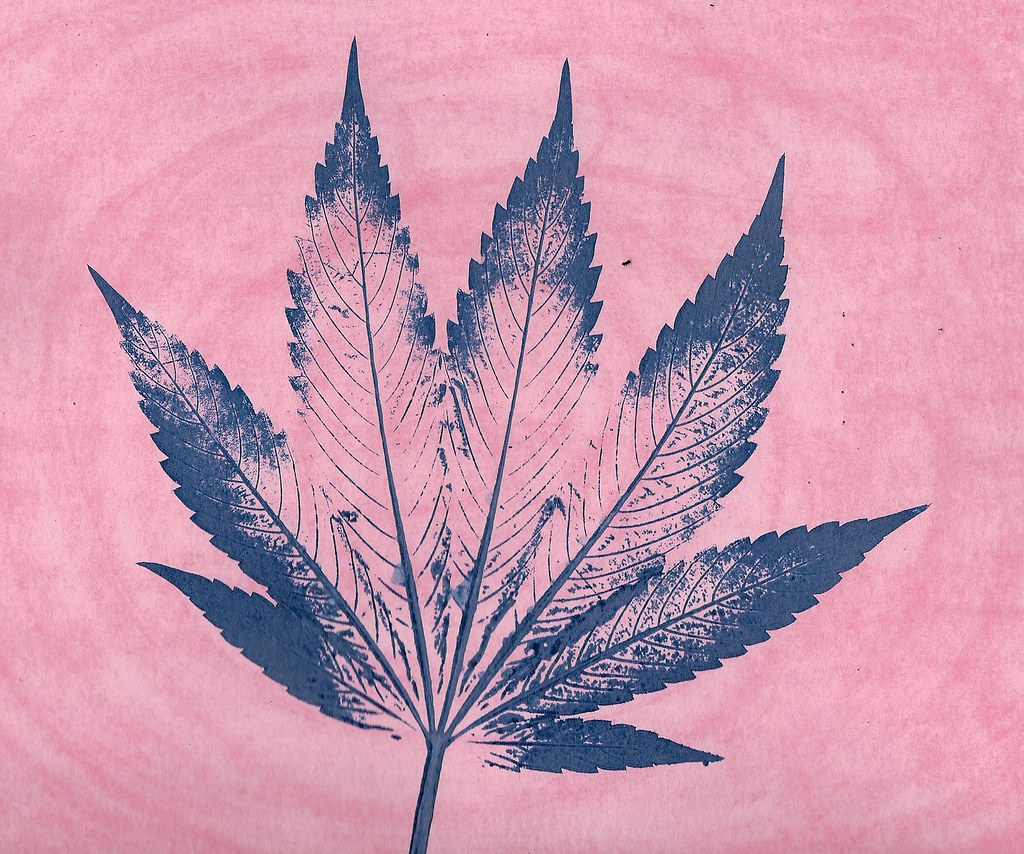 how to sex cannabis