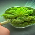 how to test potency of cannabis
