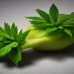 how to top cannabis